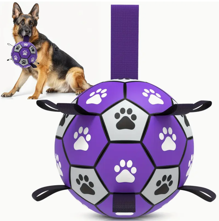 CrownTail RegalPlay™ Soccer Ball