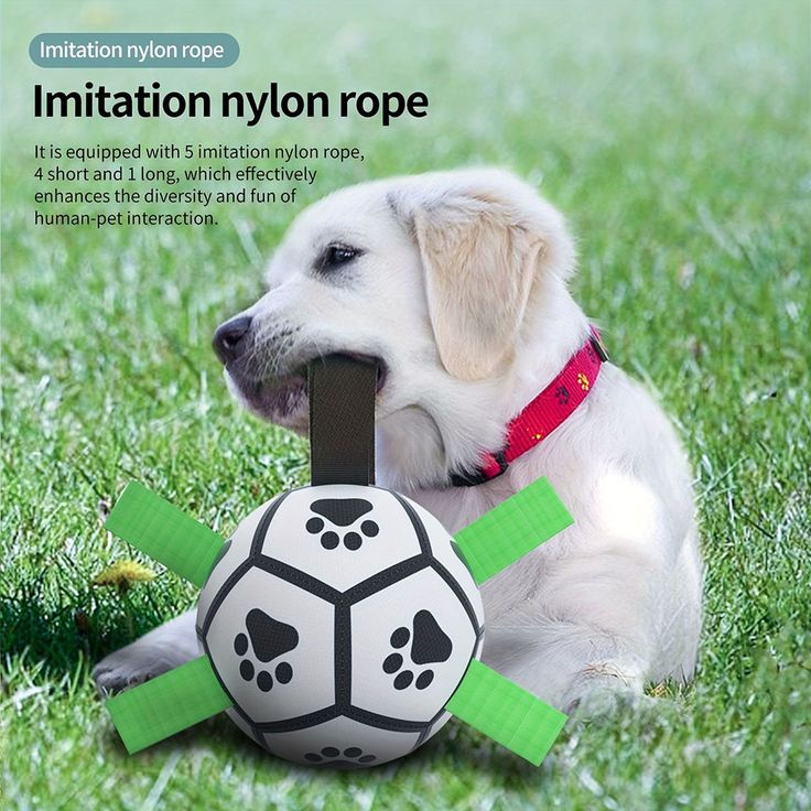 CrownTail RegalPlay™ Soccer Ball