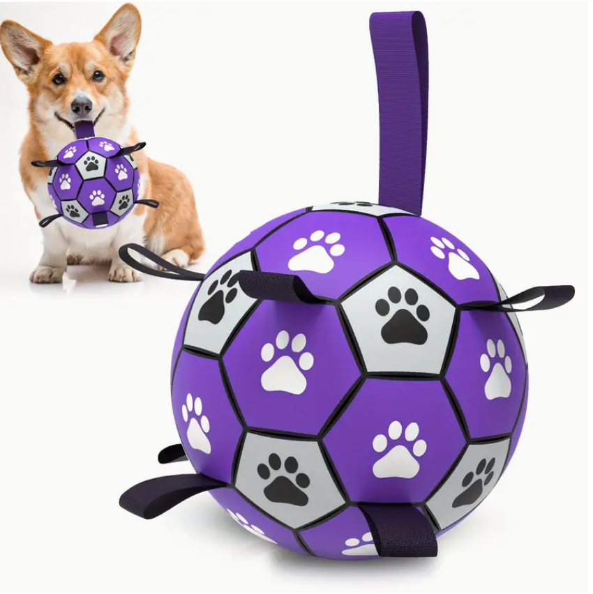 CrownTail RegalPlay™ Soccer Ball