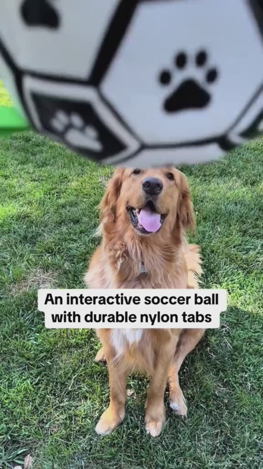 CrownTail RegalPlay™ Soccer Ball