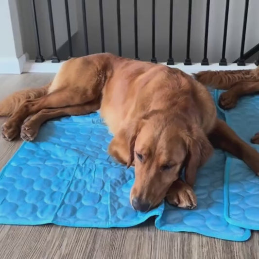 CrownTail Royale Cooling Mat